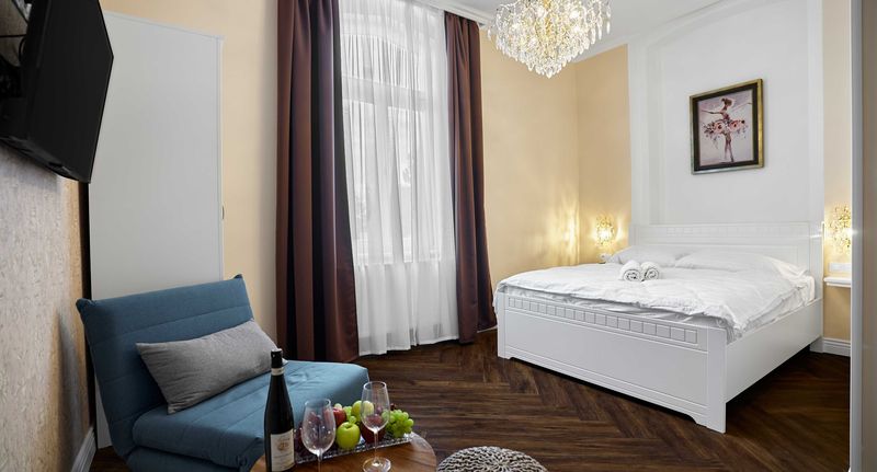 Pokoj se sprchou pro 2 os. - Chateau Franz Osek, foto 1