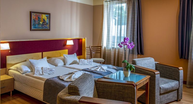Premium Pokoj bezbariérový pro 2 os. - Dráva Hotel Thermal Resort Harkány, foto 1