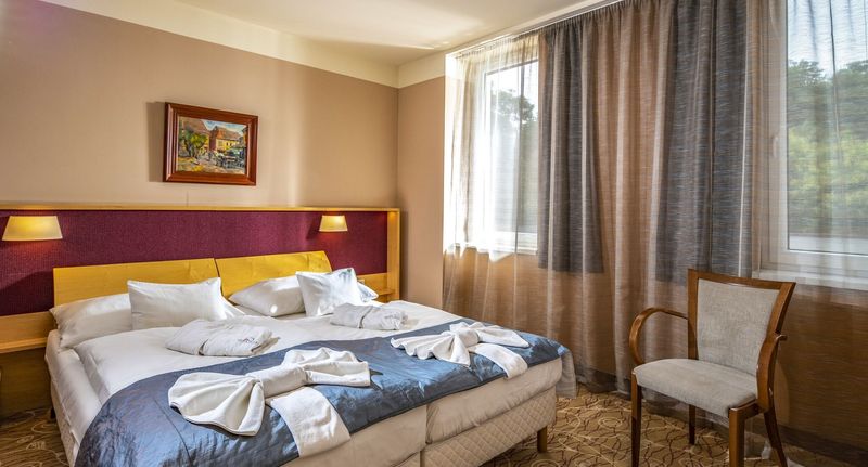 Premium Pokoj pro 2 os. - Dráva Hotel Thermal Resort Harkány, foto 1