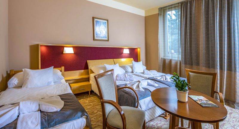 Premium XL Pokoj pro 2 os. (s možností přistýlky) - Dráva Hotel Thermal Resort Harkány, foto 1
