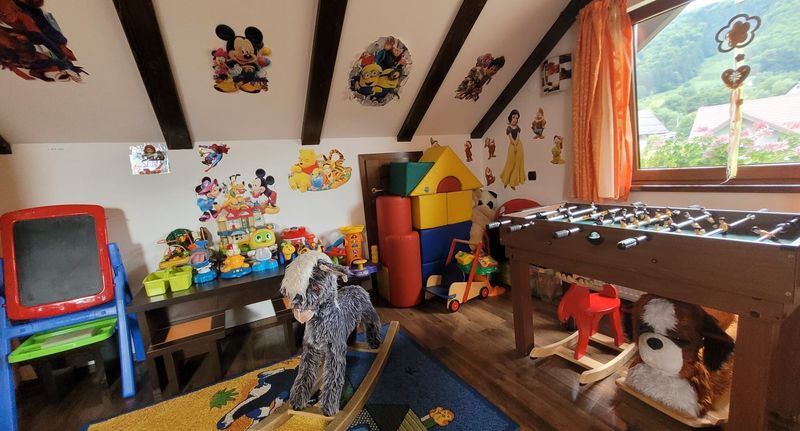 Vila (jako celek) pro 10 os. s výhledem na les s výhledem na hory (s možností přistýlky) - Vila Deni Predeluț, foto 1