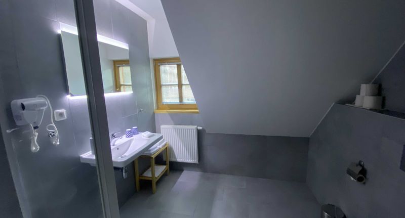 Pokoj se sprchou pro 4 os. - Penzion Grunt superior Řeka, foto 1