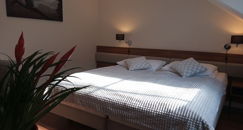 Deluxe Pokoj s manželskou postelí s výhledem na les (s možností přistýlky) - Ranczo Czerwony Młyn Ogrodzieniec, foto 1