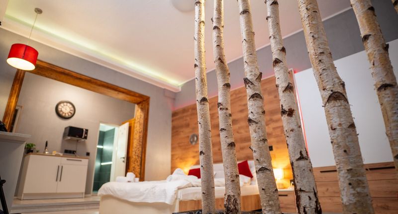 Pokoj s privátní koupelnou mimo apartmán s manželskou postelí přízemní - Pensiunea Barrique Garden Brașov, foto 1