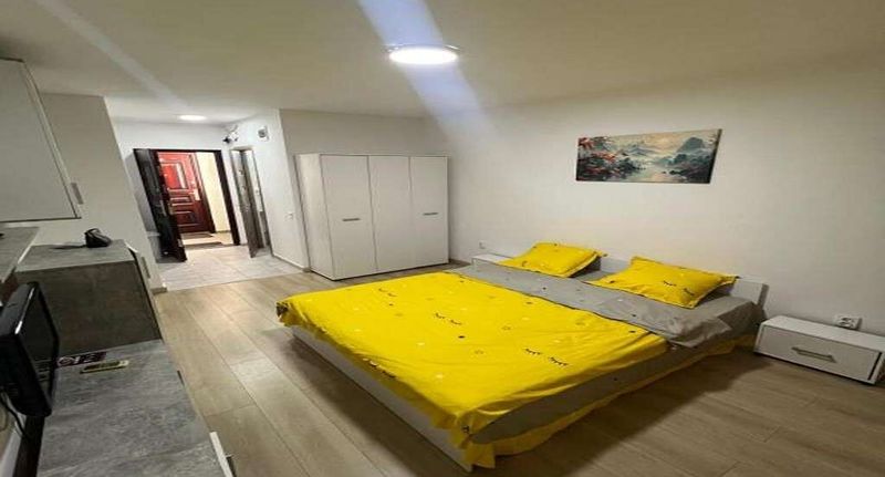 Pokoj s manželskou postelí - Nicolle Studio 2 Pitești, foto 1