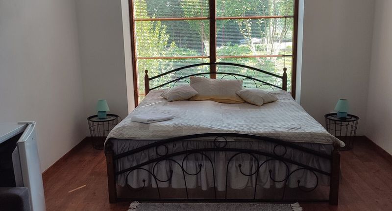 Pokoj s manželskou postelí (s možností přistýlky) - Villa Homestay Praha, foto 1