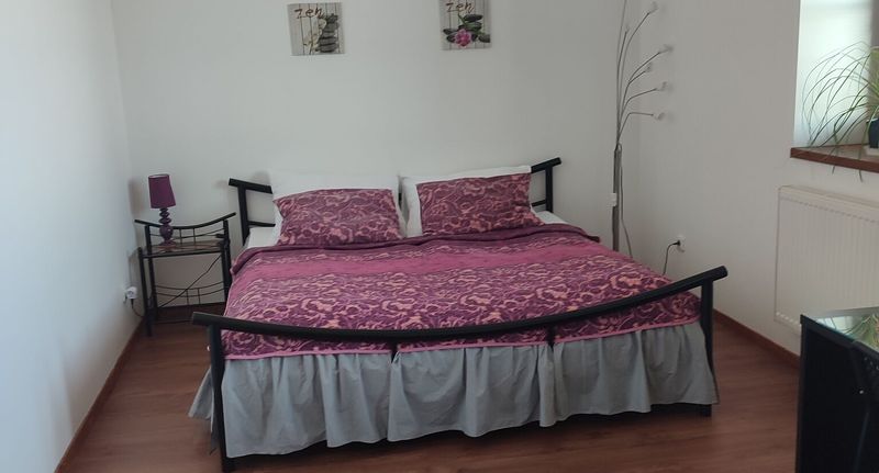 Pokoj s manželskou postelí s výhledem na řeku s výhledem na město (s možností přistýlky) - Villa Homestay Praha, foto 1