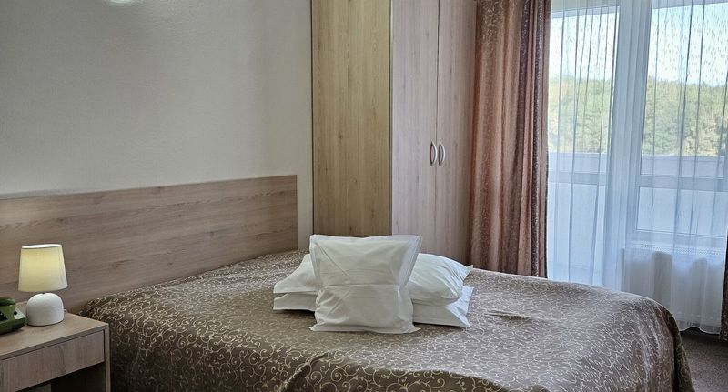 Pokoj pro 1 os. - Hotel Mureș Băile Felix, foto 1
