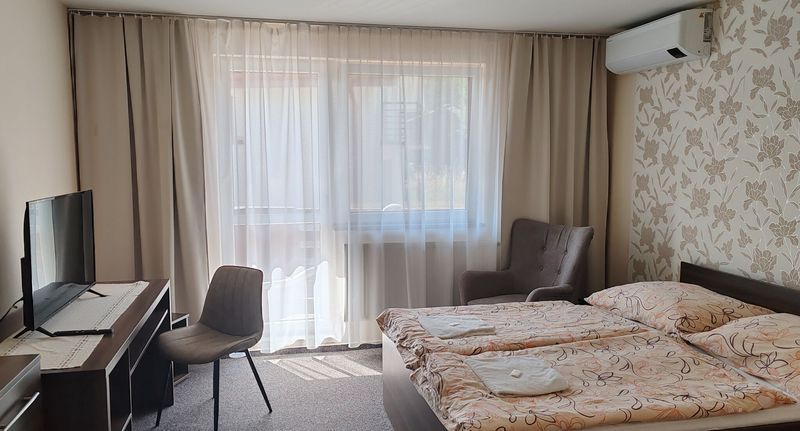 Standard Pokoj s balkónem s manželskou postelí (s možností přistýlky) - Penzión Dolina Vinné, foto 1