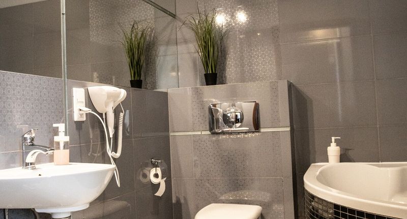 Apartman s vlastní kuchyňkou s klimatizací pro 4 os. se 2 ložnicemi - Studio Adler Bed&Breakfast Łódź, foto 9