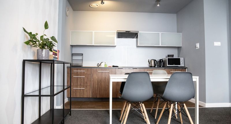 Apartman s vlastní kuchyňkou s klimatizací pro 4 os. se 2 ložnicemi - Studio Adler Bed&Breakfast Łódź, foto 13