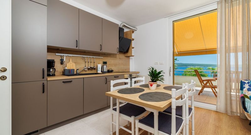 Apartman s terasou s manželskou postelí s 1 ložnicí s výhledem na moře (s možností přistýlky) - Apartment Crni Mol Crikvenica, foto 1