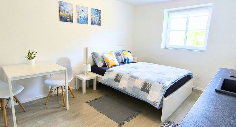Classic Apartman s manželskou postelí s 1 ložnicí s výhledem na jezero - Penzion NAROZI LIPNO, foto 1