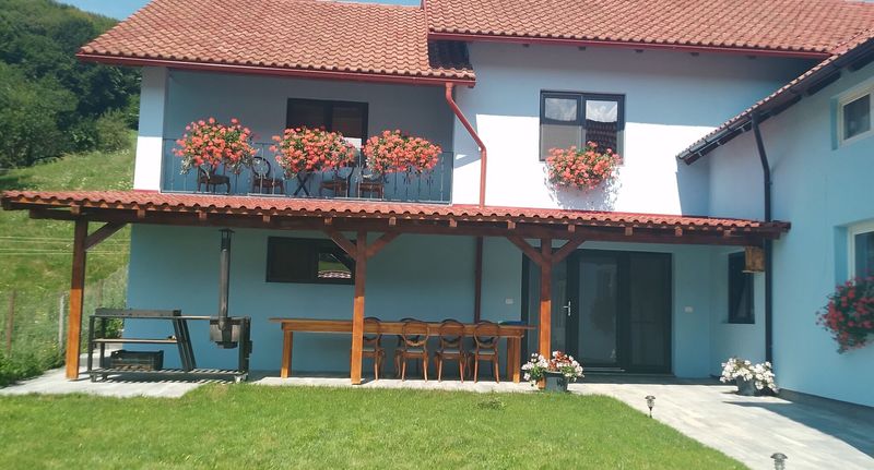Rekreační dům (jako celek) pro 12 os. - Casa Ardelean Sita Buzăului, foto 1