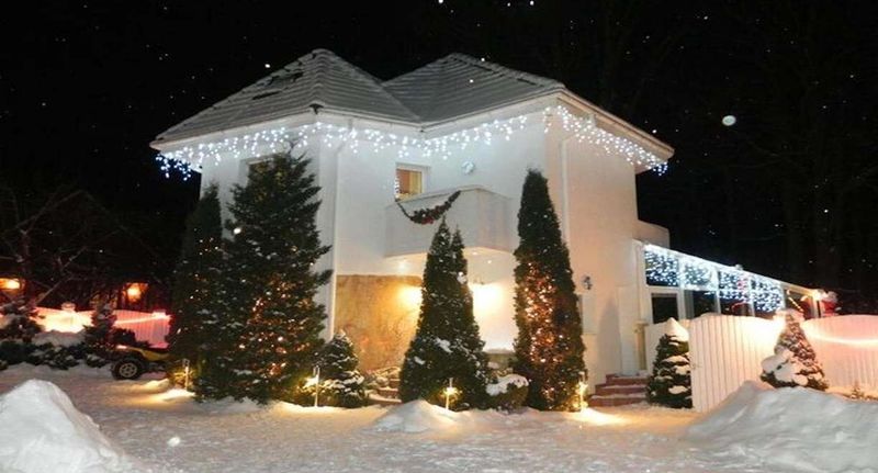 Family Vila (jako celek) pro 6 os. s výhledem na hory - FOREST RETREAT Luxury Villas Buşteni, foto 1