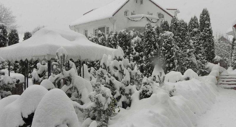 Lux Vila (jako celek) pro 12 os. s výhledem na les - FOREST RETREAT Luxury Villas Buşteni, foto 1
