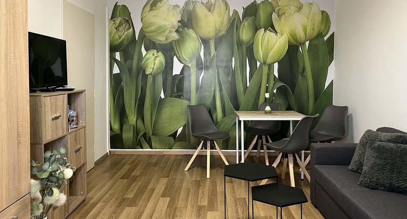Economy Apartman pro 4 os. se 2 ložnicemi na poschodí - Green Harmony Apartman Pécs, foto 1