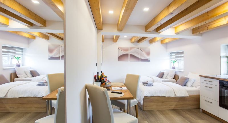 Apartman s vlastní kuchyní s manželskou postelí s 1 ložnicí na poschodí - Aparthotel Svitavy, foto 35