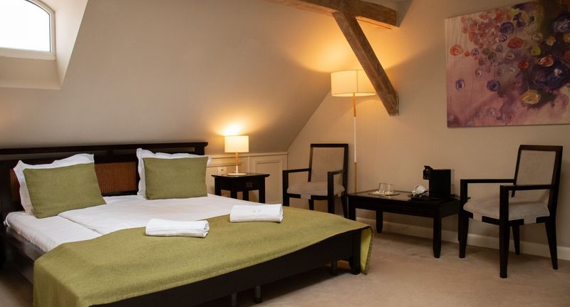 Pokoj s manželskou postelí - Hirscher Loft Brașov, foto 10