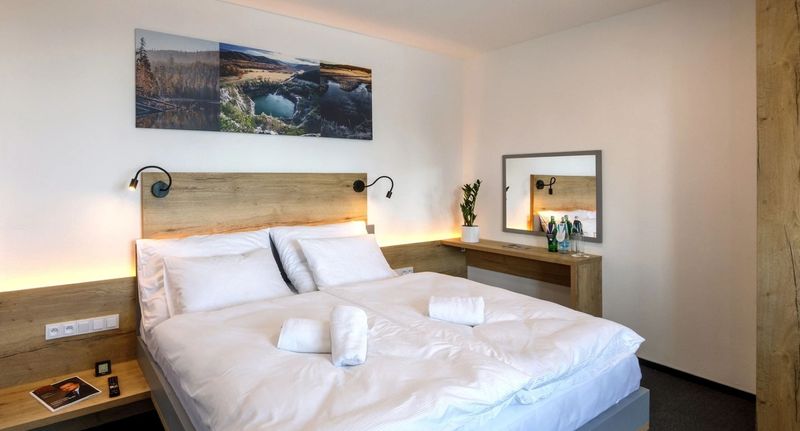 Deluxe Apartman s manželskou postelí s 1 ložnicí - Sporthotel Olympia Stachy, foto 1