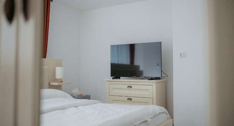 Deluxe Pokoj s manželskou postelí - Boierița Home Stay Fundu Moldovei, foto 15