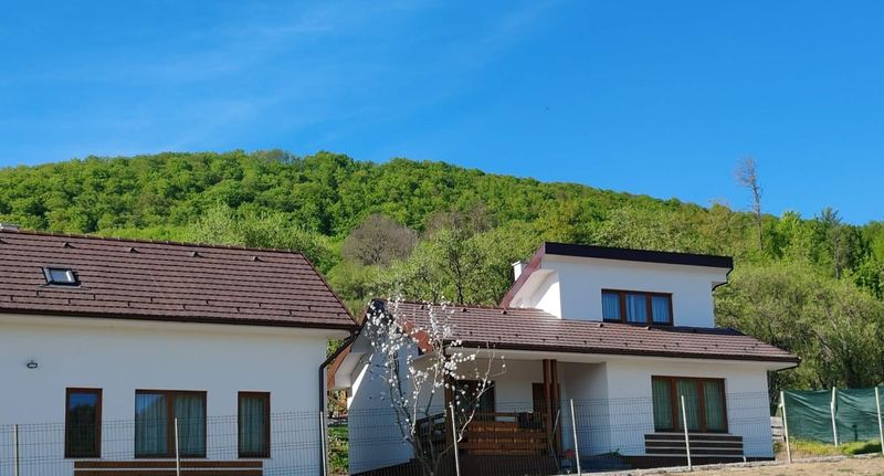 Chata (jako celek) pro 6 os. - Pensiunea Jalasza Gyöngye Lupeni, foto 1