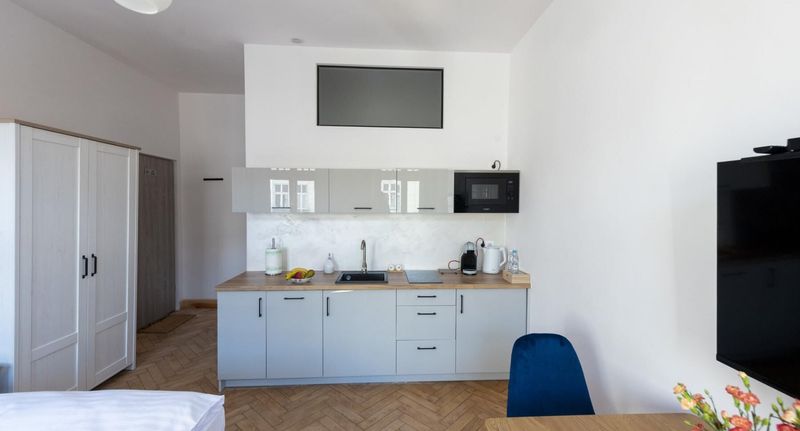 Apartman s manželskou postelí s 1 ložnicí - Apartamenty Provenir Home Kwiatowa 5 Poznań, foto 102