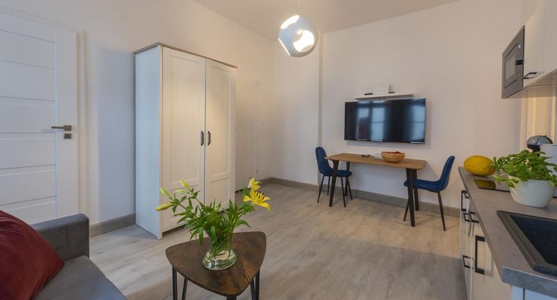 Apartman pro 6 os. se 3 ložnicemi - Apartamenty Provenir Home Kwiatowa 5 Poznań, foto 26