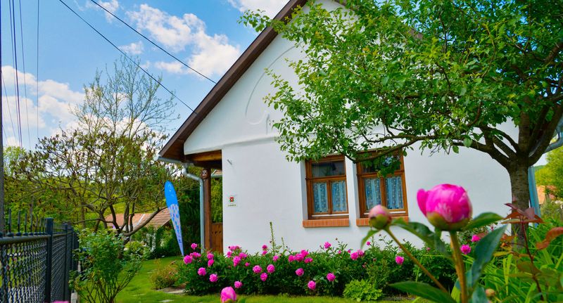 Apartman pro 4 os. se 2 ložnicemi - Alsópetényi Vendégházak Alsópetény, foto 12