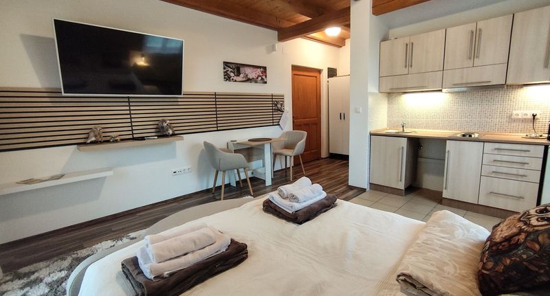 Premium Apartman s manželskou postelí s 1 ložnicí s výhledem na les - Zselici Bagoly Vendégház Bánya, foto 1
