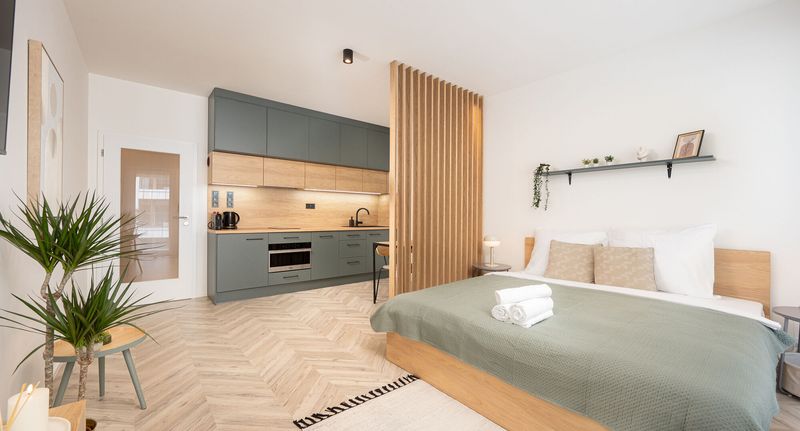 Apartman s balkónem s manželskou postelí s 1 ložnicí - Internesto Brno Urban, foto 1