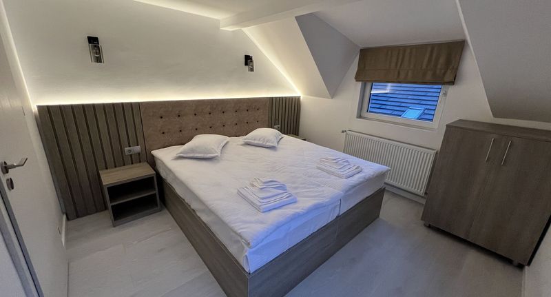 Superior Vila (jako celek) pro 18 os. celý Dům - Vila Green Wood Azuga, foto 1