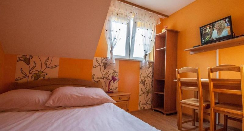 Pokoj s manželskou postelí - Pokoje Bieszczadzkie Wzgórze Myczków, foto 8