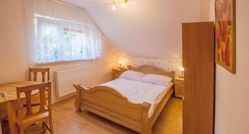Pokoj s manželskou postelí - Pokoje Bieszczadzkie Wzgórze Myczków, foto 15