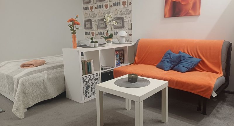Apartman s klimatizací s vlastní koupelnou pro 4 os. s 1 ložnicí - Apartment 42 Budapest, foto 1