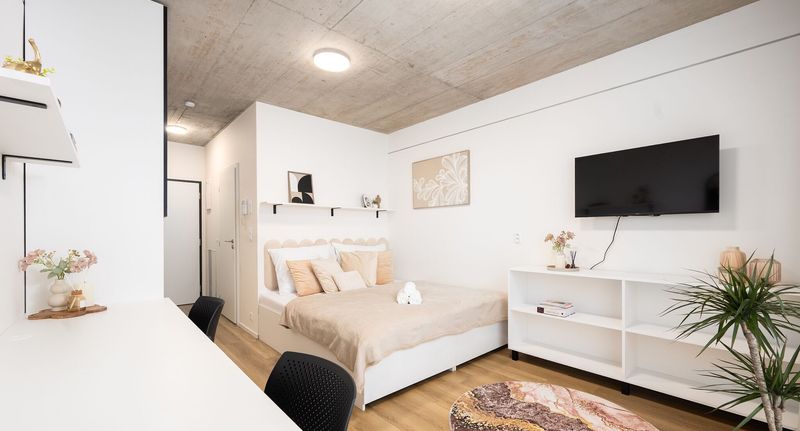 Apartman s manželskou postelí s 1 ložnicí - Internesto Brno HUB, foto 30
