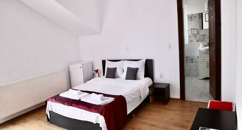 Pokoj s balkónem s manželskou postelí - Vila Irenne Păltiniș Sibiu, foto 1