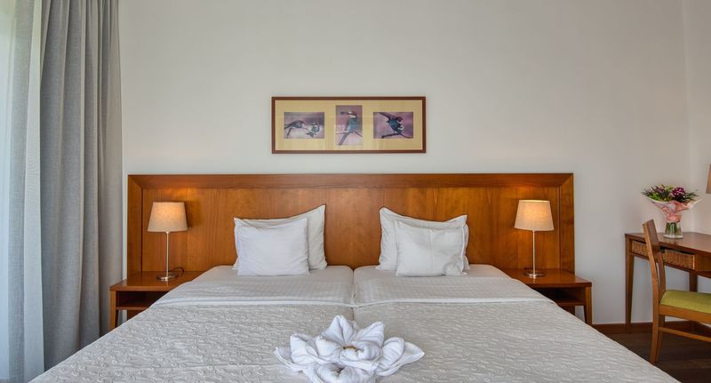 Pokoj pro 2 os. s výhledem do zahrady na poschodí - Tisza Balneum Hotel Tiszafüred, foto 1