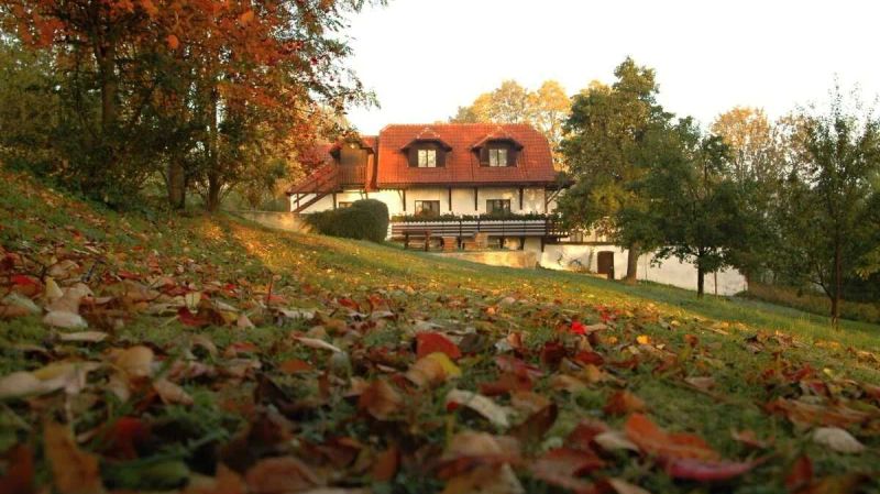 Penzion Dvůr Netolice - foto 1