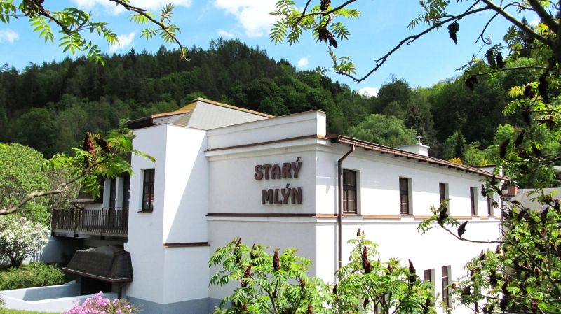 Hotel Starý Mlýn Železný Brod - foto 1