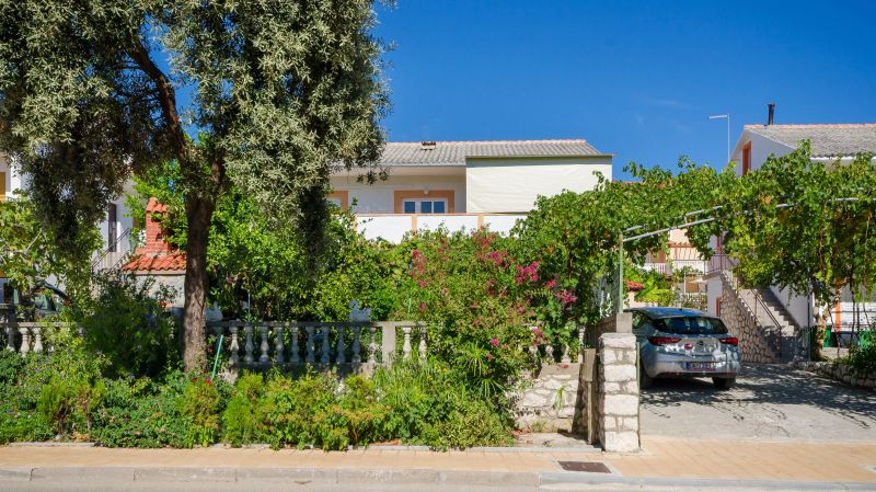 Apartments Elvira Lopar - foto 1