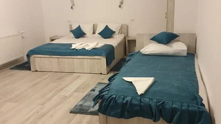 Pensiunea Inima Bucegilor Moieciu de Sus - foto 1