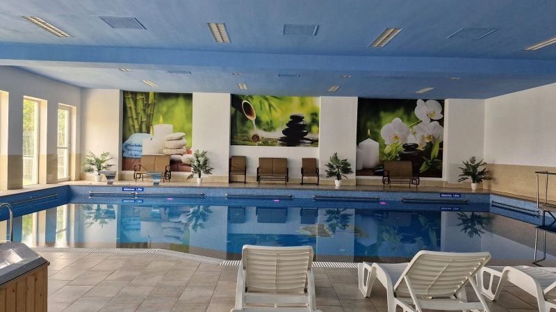 Hotel Conacul Domnesc Șcheia - foto 1