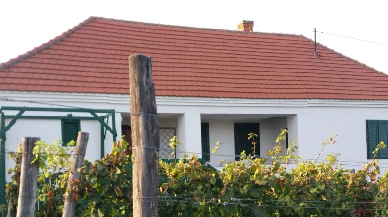 Szent Márton Vendégház Somló Doba - foto 1