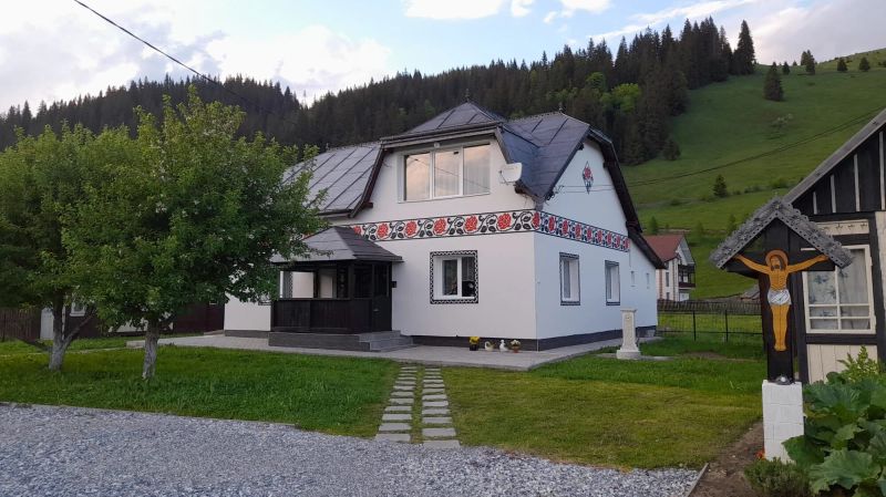 Casa Dumitru si Elena Ciocănești - foto 1