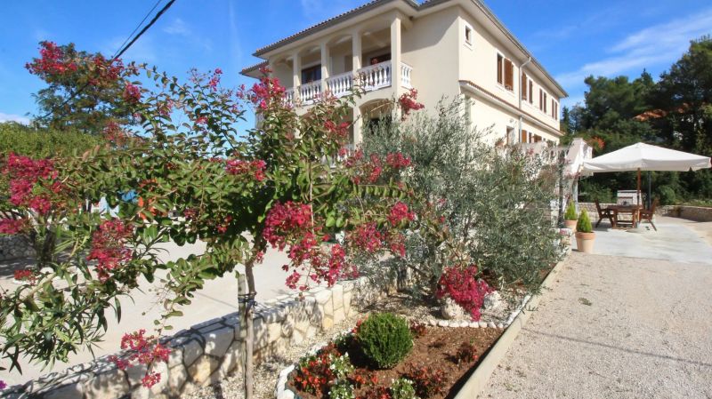 Apartmani Ivanka C. Soline - foto 1