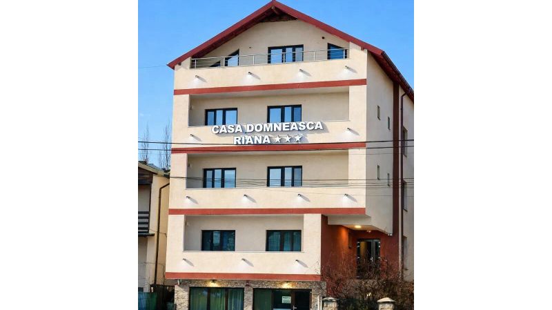 Pensiunea Casa Domneasca Riana Pitești - foto 1