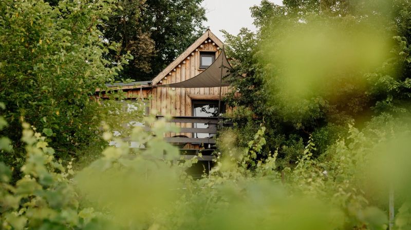 Casa Quint Vendégház Csákberény - foto 1