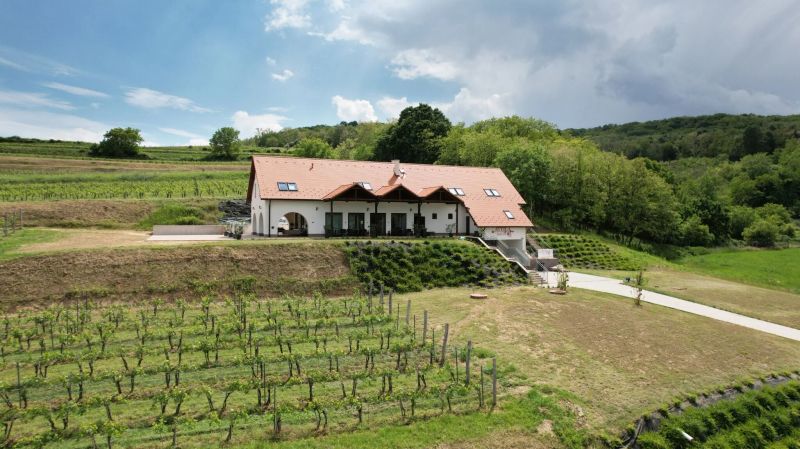 Attila Birtok Szekszárd - foto 1