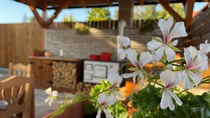 Szőlőszem Vendégház Abádszalók - foto 1